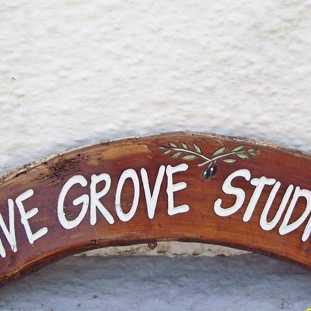 Olive Grove Studios Megali Ammos  Exterior foto