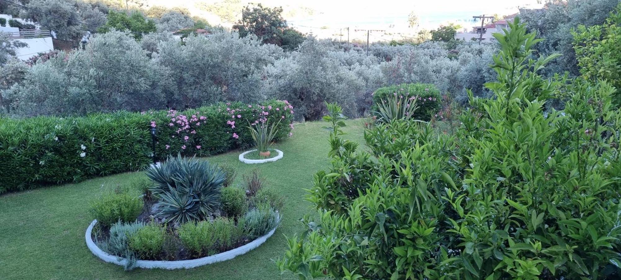 Olive Grove Studios Megali Ammos  Exterior foto